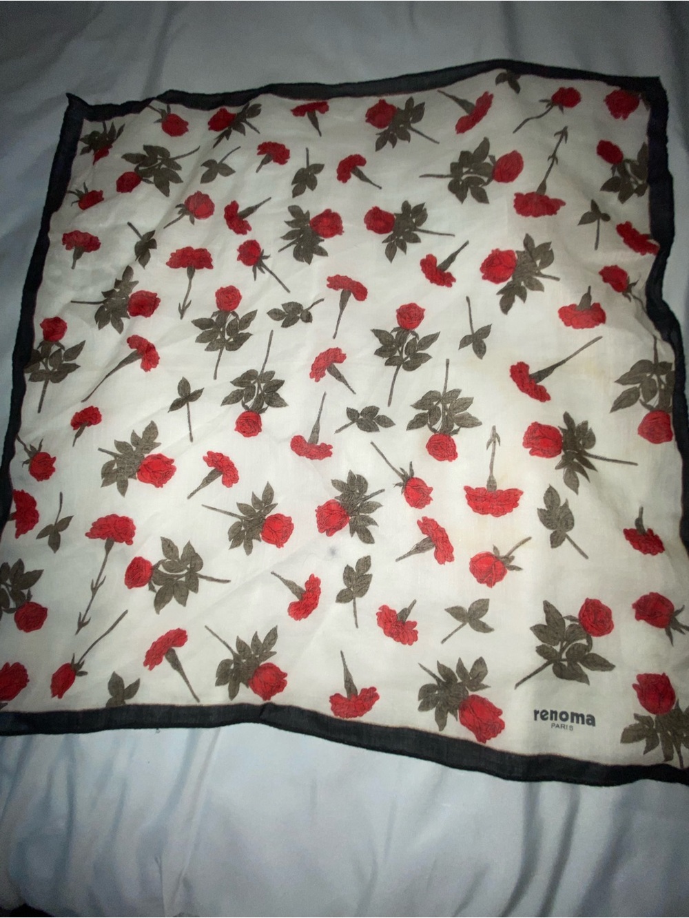 Renoma Paris Floral Silk Scarf - Red & Brown Roses